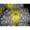Good Quality Export New Crop Chinese Garlic